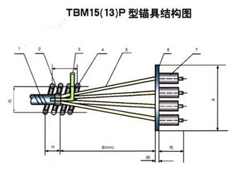 TBM15(13)系列P型錨具